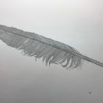 Aliança Francesa de Niterói Curso de Francês