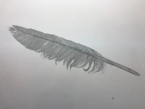 Aliança Francesa de Niterói Curso de Francês