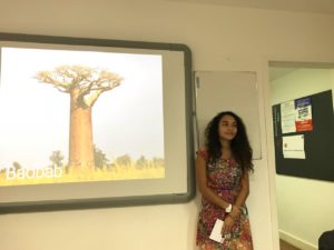 Aliança Francesa de Niterói Curso de Francês