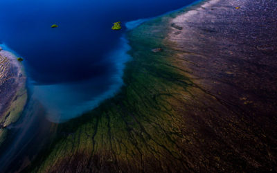 Exposição Prix Photo Aliança Francesa 2018