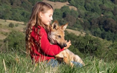 Ciné-club exibe drama “Mystère”