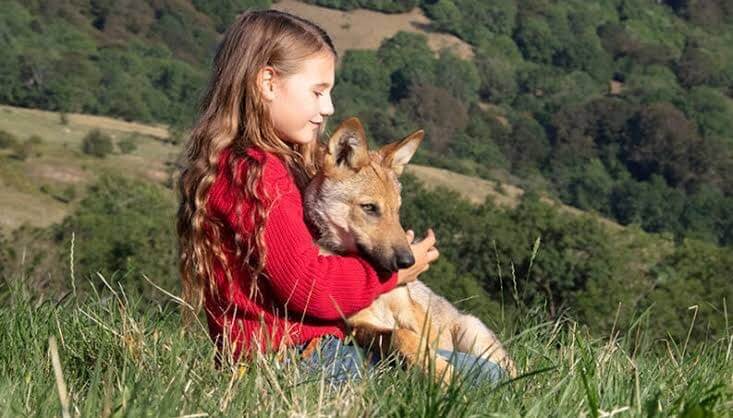 Ciné-club exibe drama “Mystère”